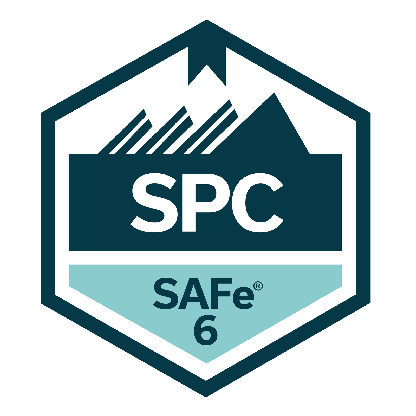 certified-safe-6-practice-consultant